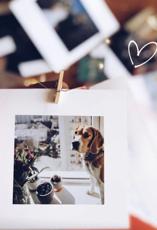Decoratiuni foto